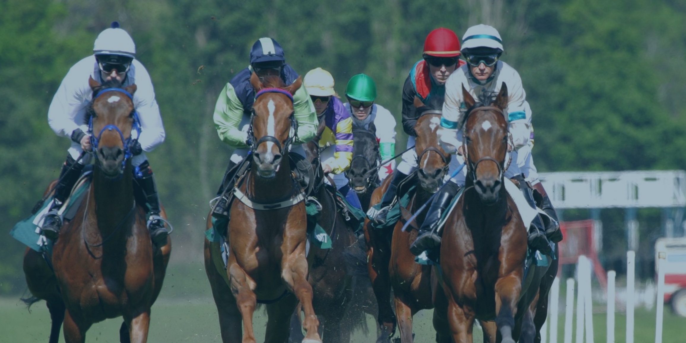 Habenae Service Framework